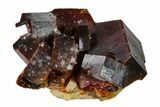 Deep Red Vanadinite Crystal Cluster - Huge Crystals! #157019-1